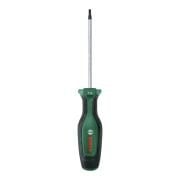Bosch Torx Tornavida T15 x 100 mm