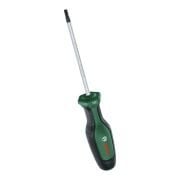 Bosch Torx Tornavida T20 x 100 mm
